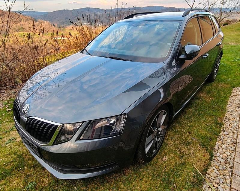 Gebraucht Skoda Octavia Style 150 PS (110 kW) 2019 Grau Kombi