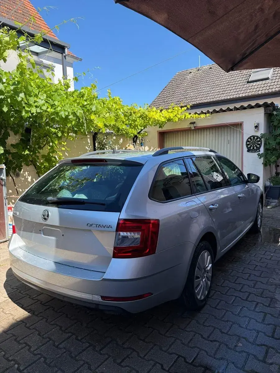 Gebraucht Skoda Octavia Active 116 PS (85 kW) 2018 Silber Kombi