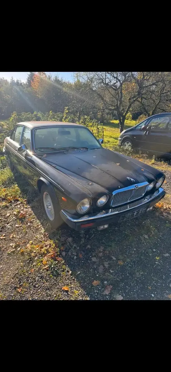 Gebraucht Jaguar XJ 1984 Schwarz Limousine