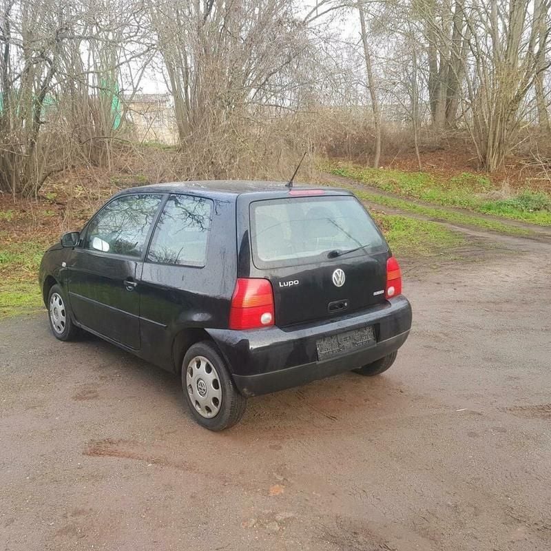 Lupo College Lupo College