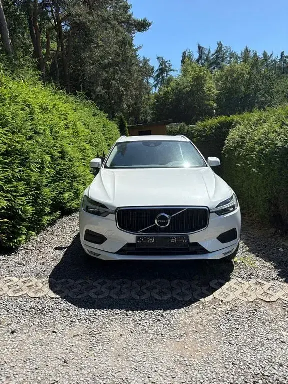 Gebraucht Volvo XC60 Momentum 197 PS (144 kW) 2020 Weiß SUV