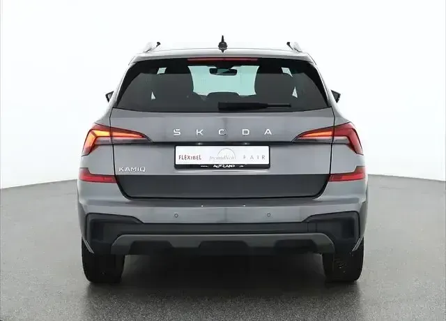 Gebraucht Skoda Kamiq 116 PS (85 kW) 2024 Grau SUV
