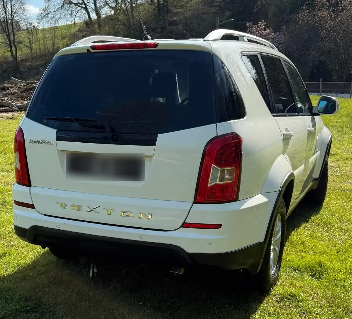 Gebraucht SsangYong Rexton 178 PS (130 kW) 2016 Weiß SUV
