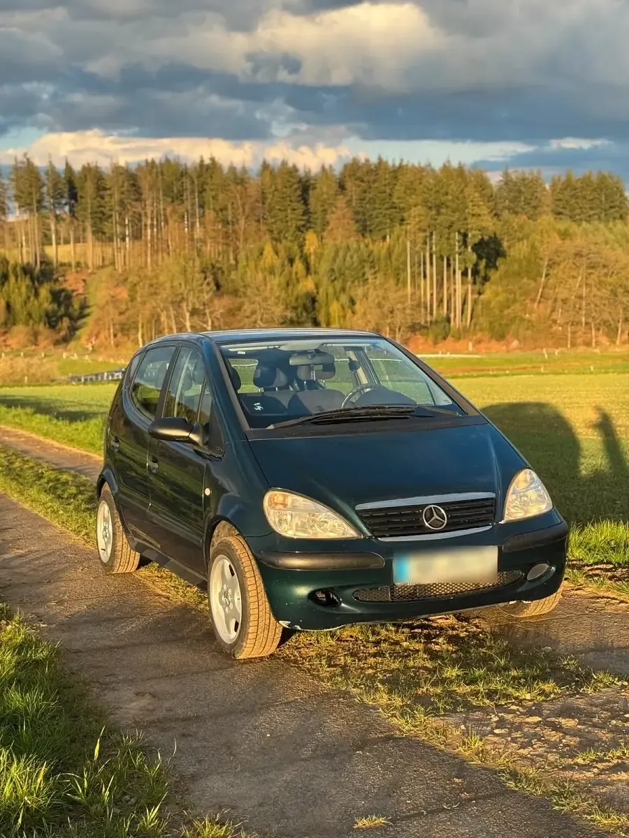 Brugt Mercedes A170 95 HK (69 kW) 2003 Grøn Stationcar