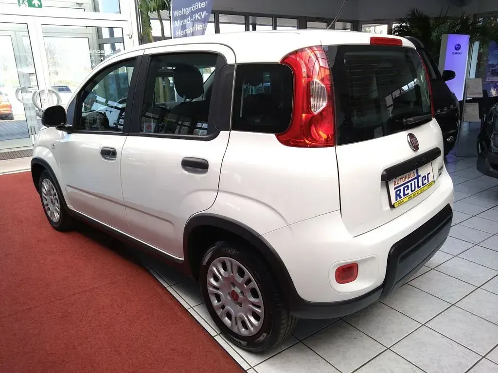 Occasion Fiat Panda 71 ch (52 kW) 2024 Blanc Citadine
