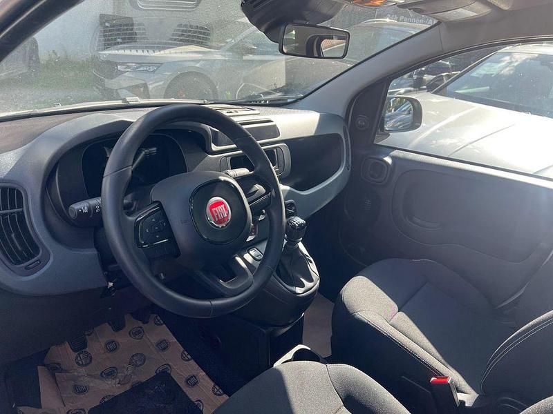 Neu Fiat Panda 69 PS (50 kW) 2025 Weiß Limousine