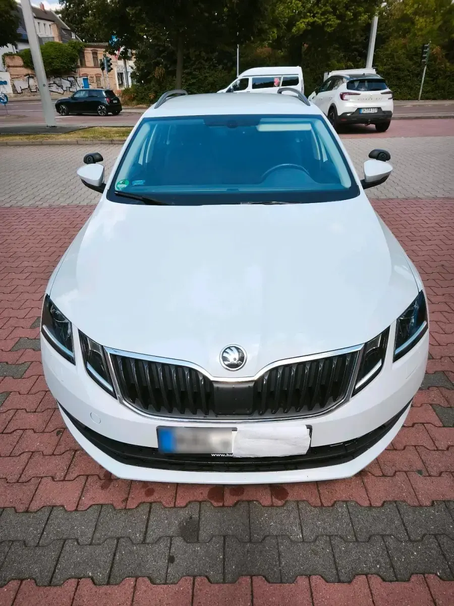 Gebraucht Skoda Octavia 116 PS (85 kW) 2018 Weiß Kombi