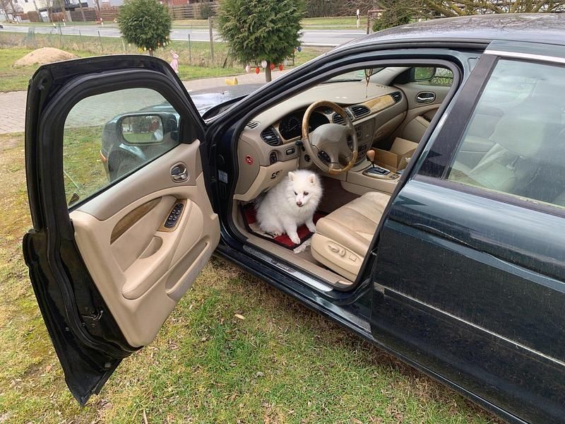 Gebraucht Jaguar S-Type S 238 PS (175 kW) 1999 Grün Limousine
