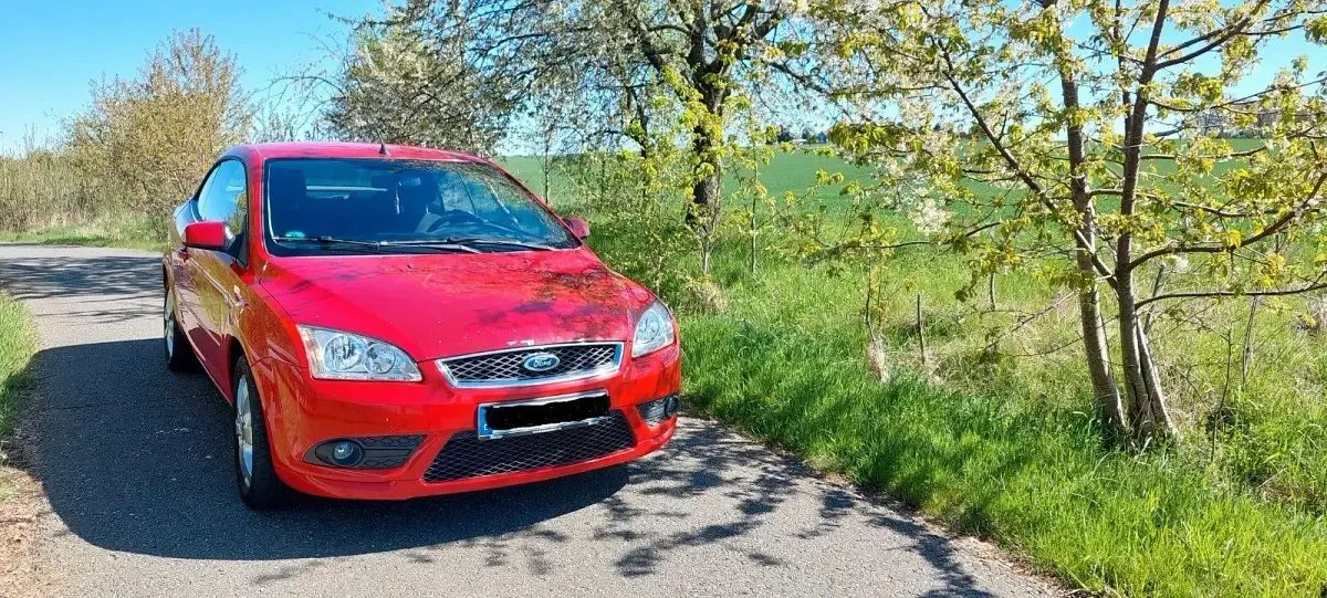 Gebraucht Ford Focus Cabriolet Trend 145 PS (106 kW) 2007 Rot Cabrio