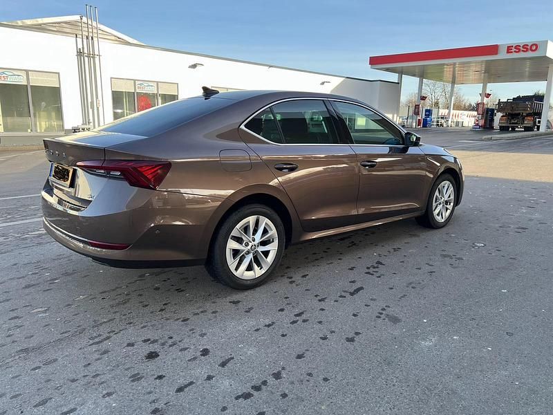 Braun Gebraucht 2020 Skoda Octavia Limousine | 18.000 € (Guter Preis) - Bild 1/4