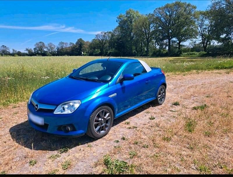 Second-hand Opel Tigra 90 CP (66 kW) 2006 Albastru Cabrio