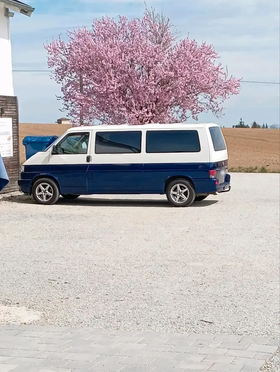 Gebraucht VW Multivan 102 PS (75 kW) 2002 Weiß Van / Kleinbus