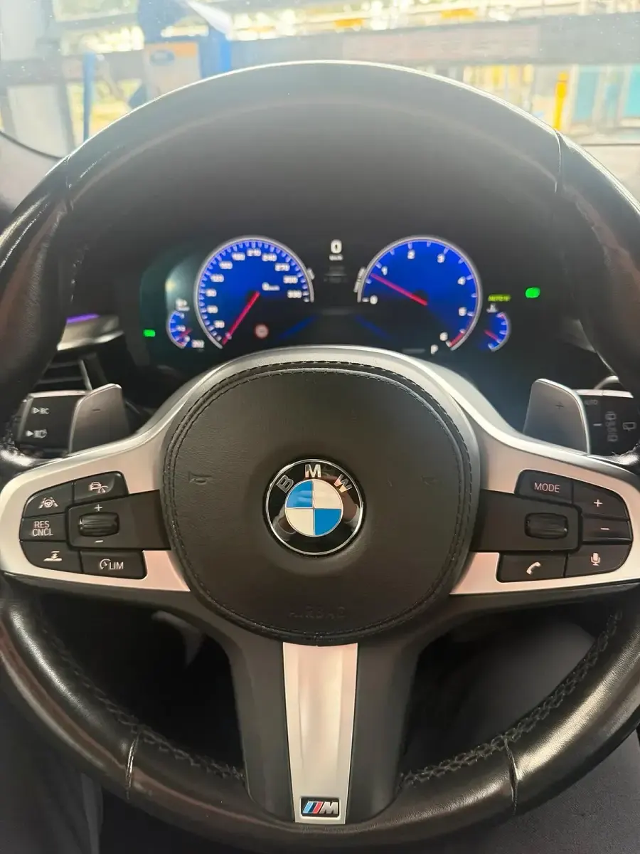 Gebraucht BMW 530 265 PS (194 kW) 2019 Blau Kombi