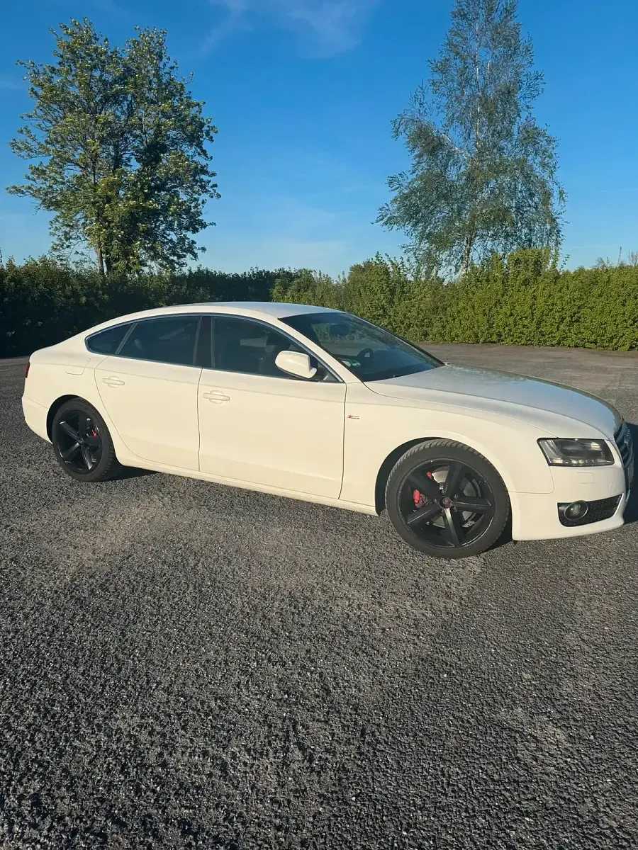 Gebraucht Audi A5 Sportback S-Line 143 PS (105 kW) 2011 Weiß Kleinwagen