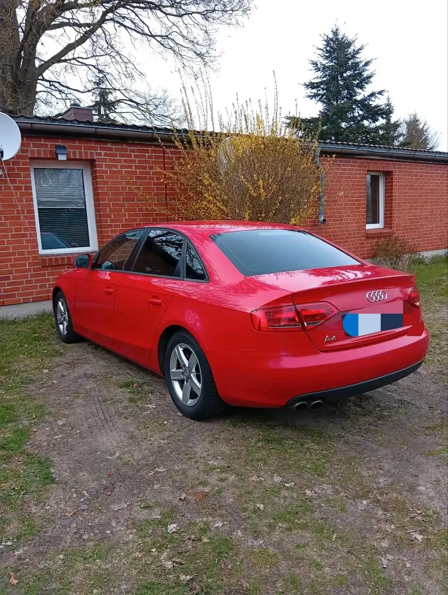 Usata Audi A4 160 CV (117 kW) 2009 Rosso Berlina