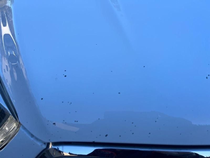 Gebraucht Ford Kuga Cool & Connect 150 PS (110 kW) 2018 Weiß SUV