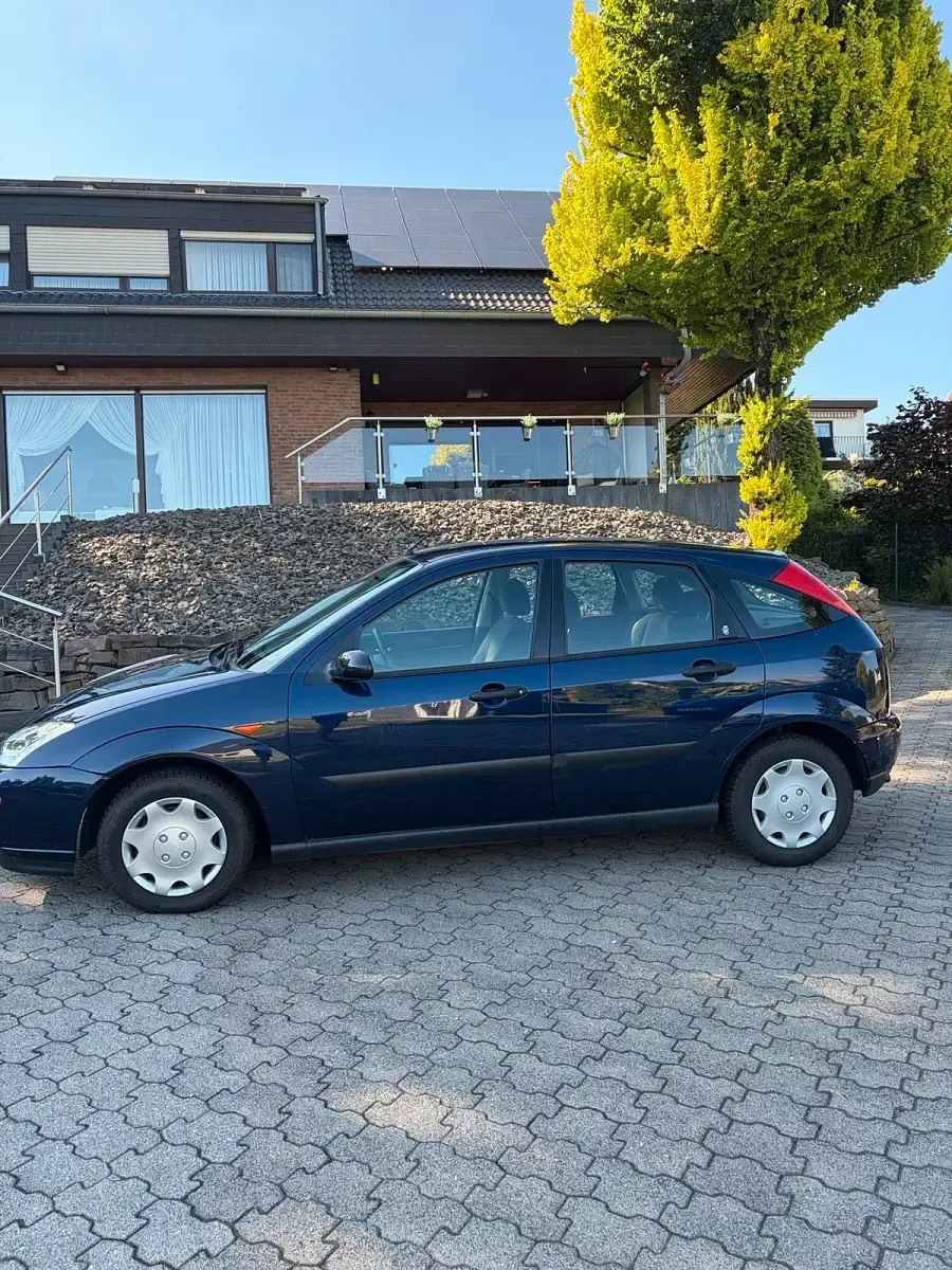 Gebraucht Ford Focus Ghia 101 PS (74 kW) 2002 Grün Kleinwagen