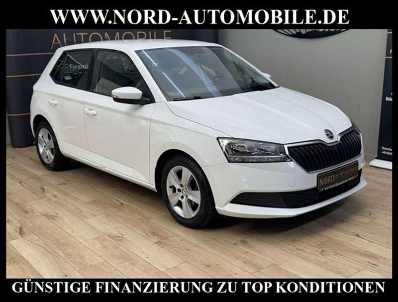 Gebraucht Skoda Fabia Active 60 PS (44 kW) 2021 Weiß Kleinwagen