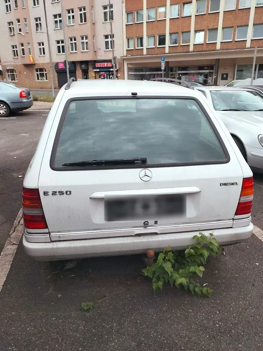 Gebraucht Mercedes E250 113 PS (83 kW) 1994 Weiß Kombi