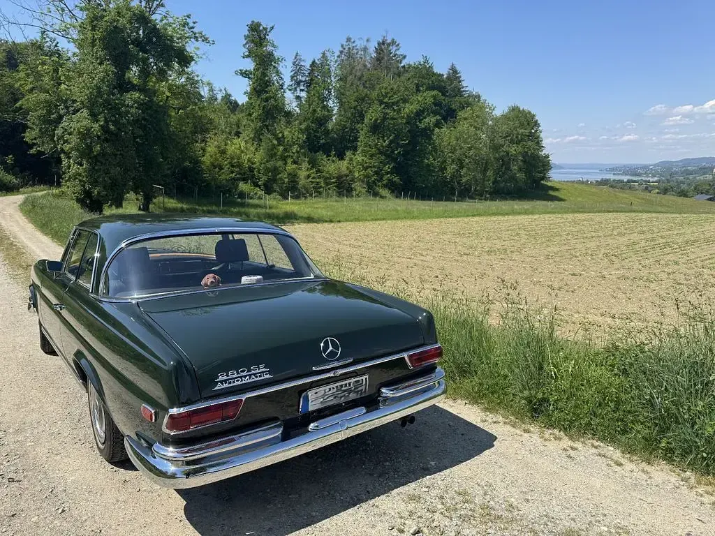 Gebraucht Mercedes 280 SE 160 PS (117 kW) 1968 Grün Coupé