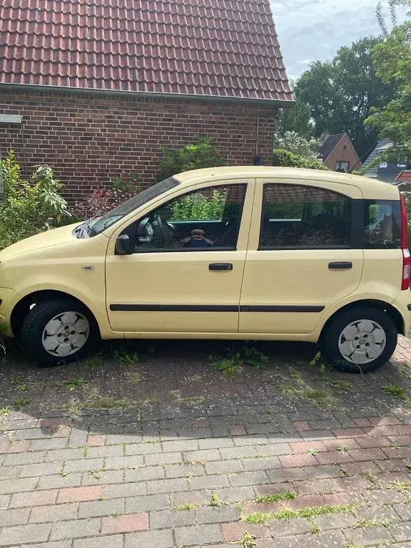 Gebraucht Fiat Panda 54 PS (39 kW) 2009 Gelb Kleinwagen