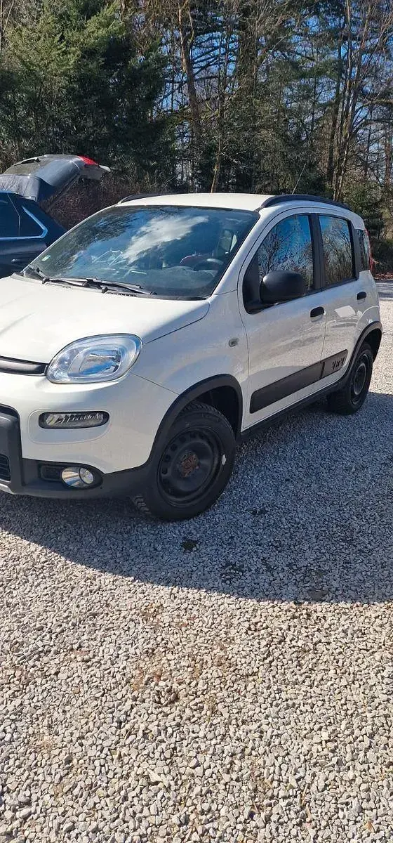 Gebraucht Fiat Panda 4x4 Wild 86 PS (63 kW) 2018 Weiß Kleinwagen