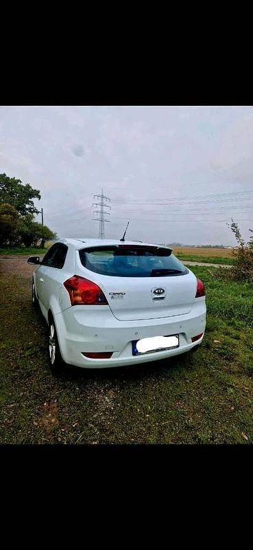 Usata Kia Ceed 90 CV (66 kW) 2011 Bianco Utilitaria