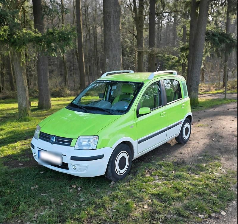 Gebraucht Fiat Panda 60 PS (44 kW) 2007 Grün Kleinwagen