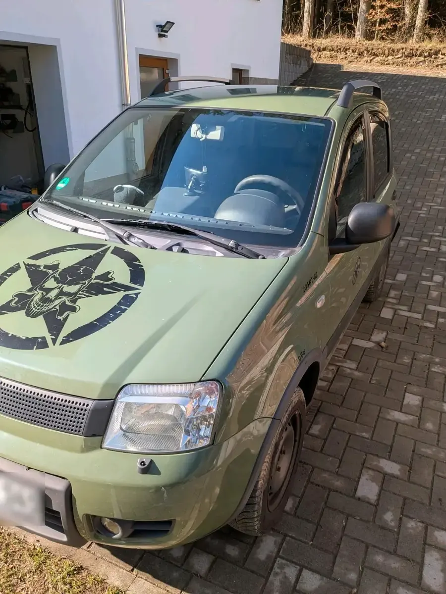 Gebraucht Fiat Panda 4x4 69 PS (50 kW) 2010 Grün Kleinwagen