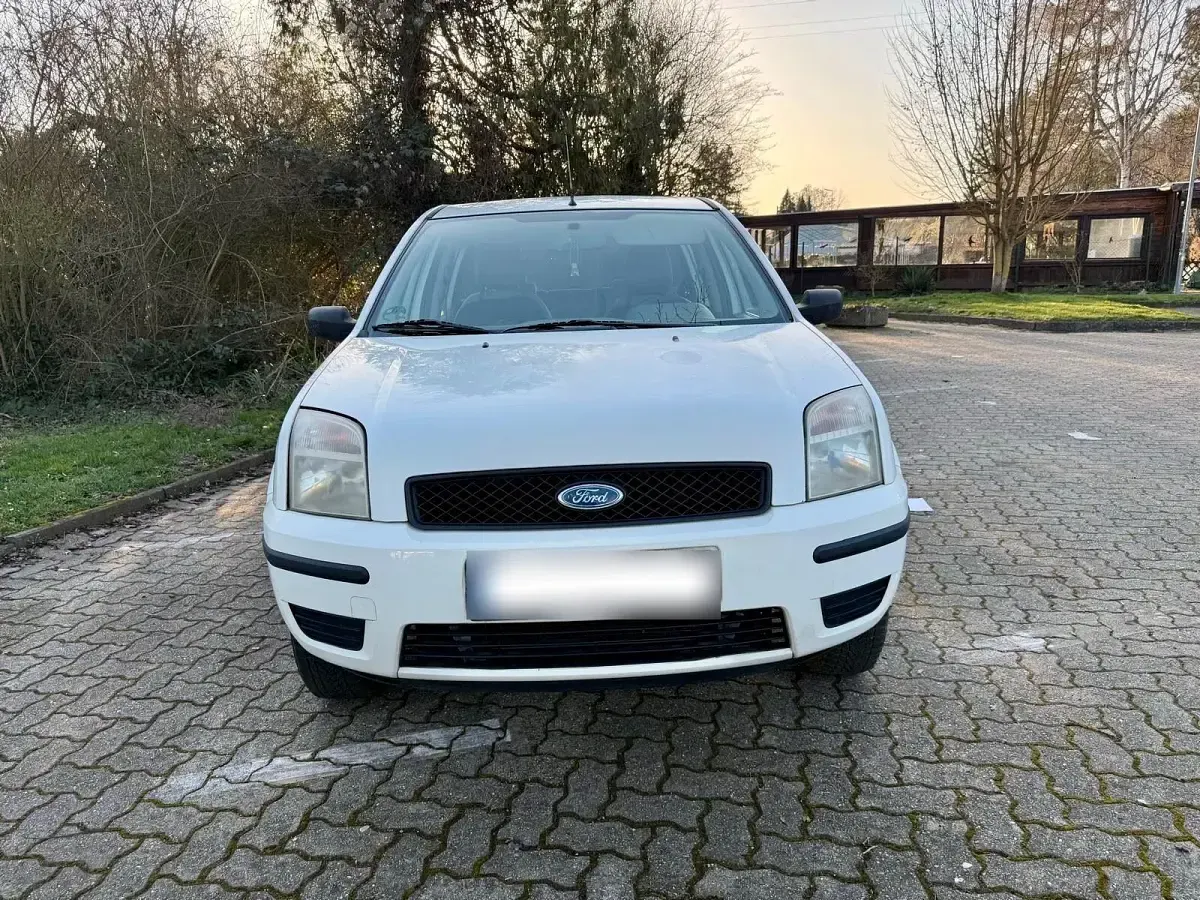 Gebraucht Ford Fusion 80 PS (58 kW) 2005 Weiß Kleinwagen
