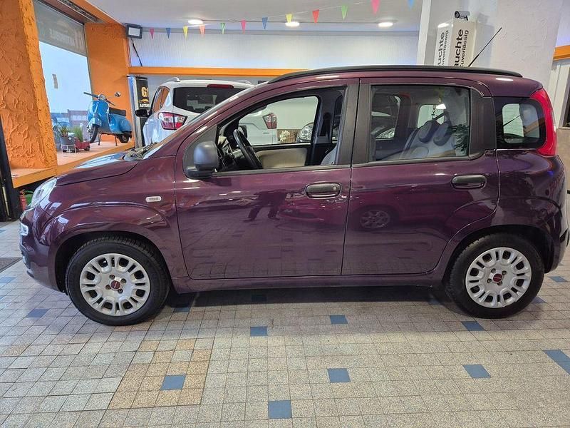 Gebraucht Fiat Panda 69 PS (50 kW) 2013 Violett Limousine