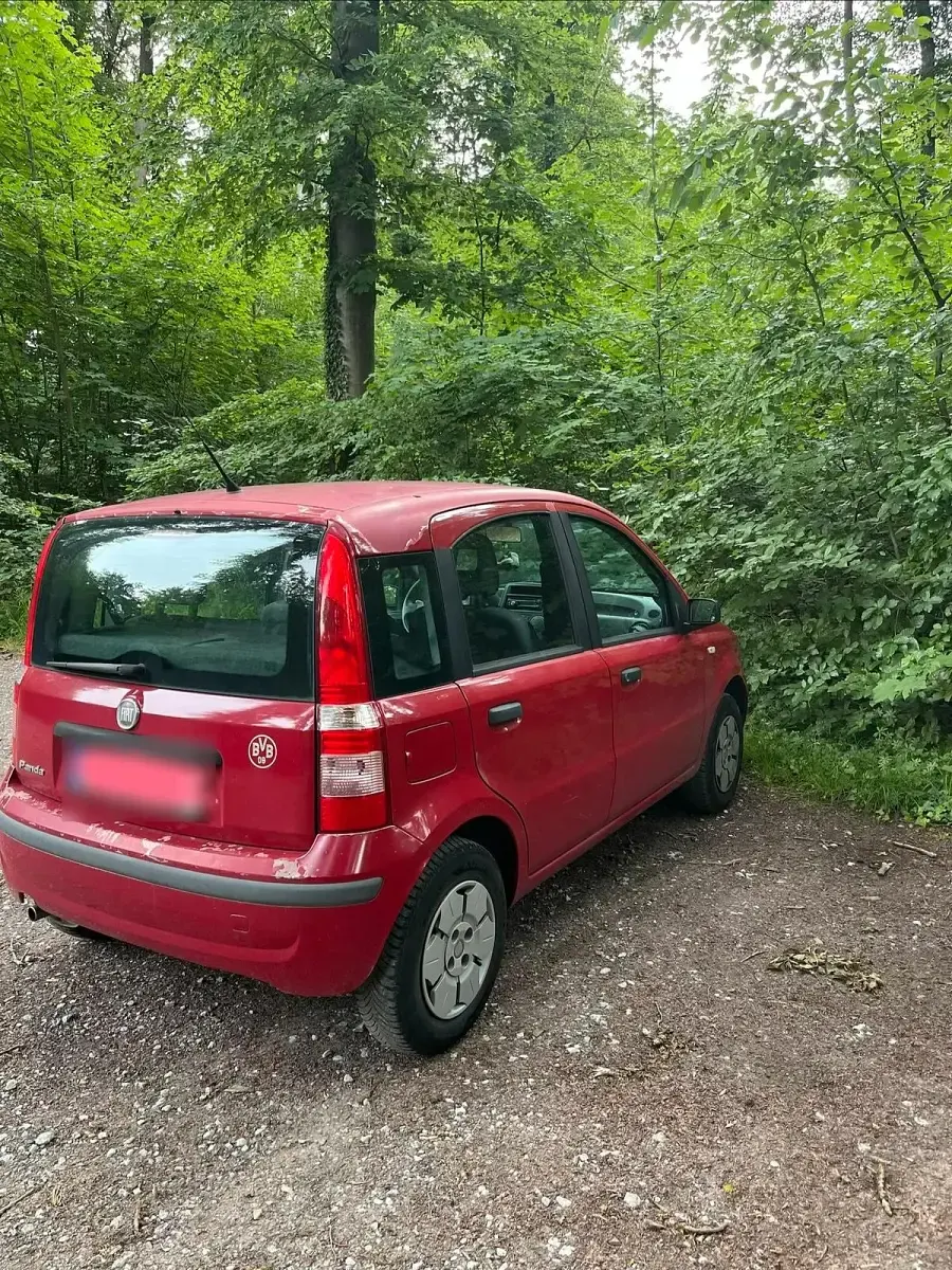 Gebraucht Fiat Panda 54 PS (39 kW) 2009 Rot Kleinwagen