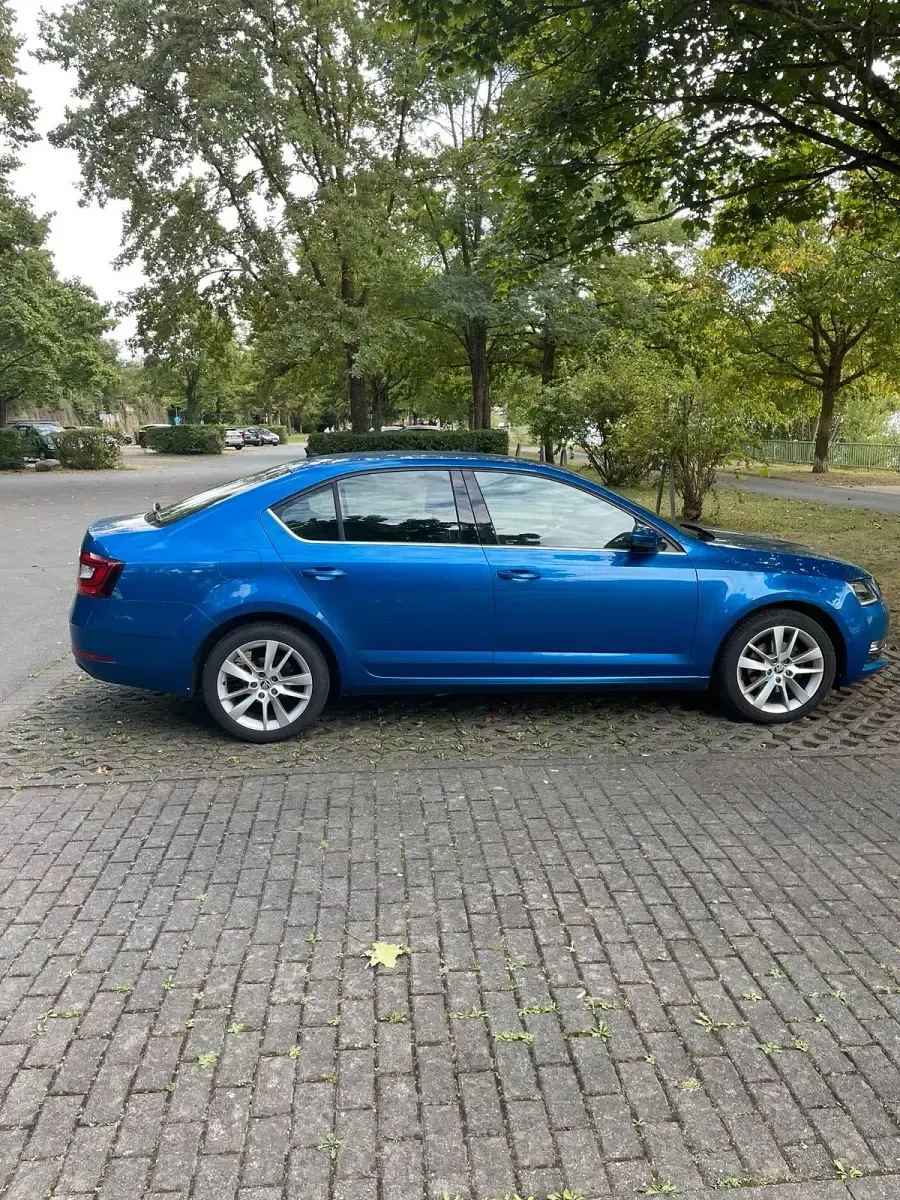 Gebraucht Skoda Octavia 116 PS (85 kW) 2018 Blau Limousine