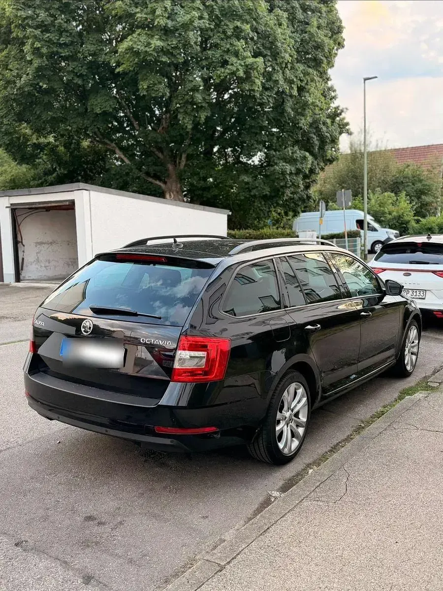 Gebraucht Skoda Octavia Ambition 116 PS (85 kW) 2019 Schwarz Kombi