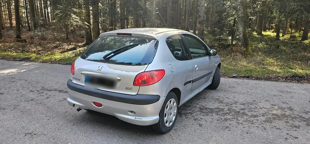 Gebraucht Peugeot 206 75 PS (55 kW) 2004 Kleinwagen