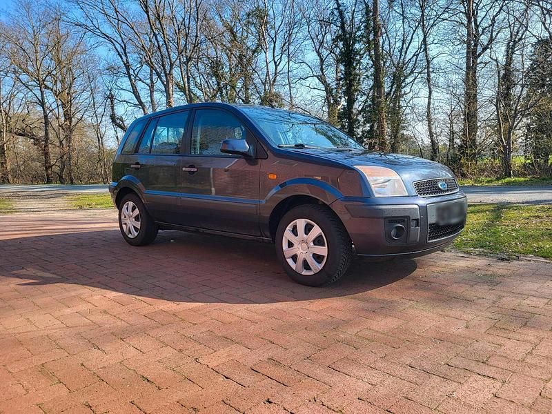 Gebraucht Ford Fusion 80 PS (58 kW) 2006 Grau Kleinwagen