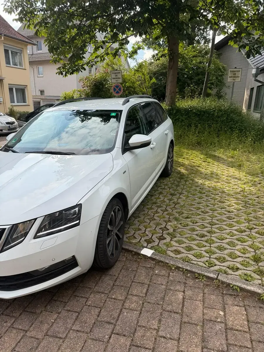 Gebraucht Skoda Octavia 116 PS (85 kW) 2017 Weiß Kombi