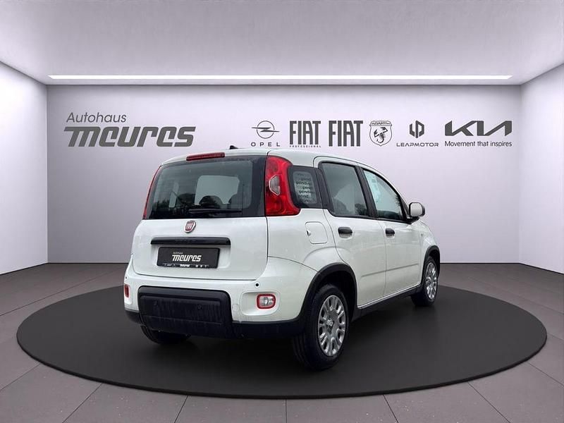 Gebraucht Fiat Panda 69 PS (50 kW) 2025 Weiß Limousine
