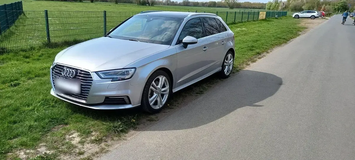 Gebraucht Audi e-tron Ambiente 204 PS (150 kW) 2020 Silber SUV