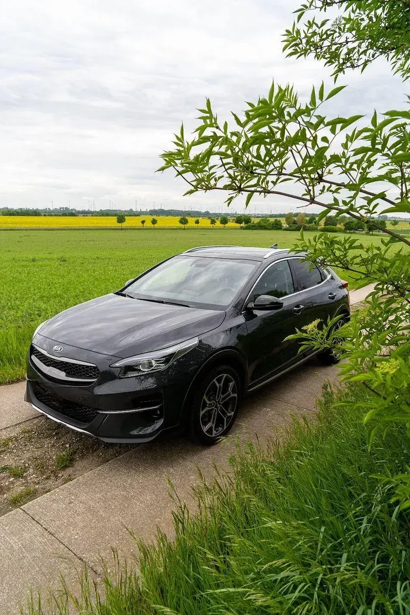 Gebraucht Kia XCeed Platinum Edition 160 PS (117 kW) 2021 Grau SUV
