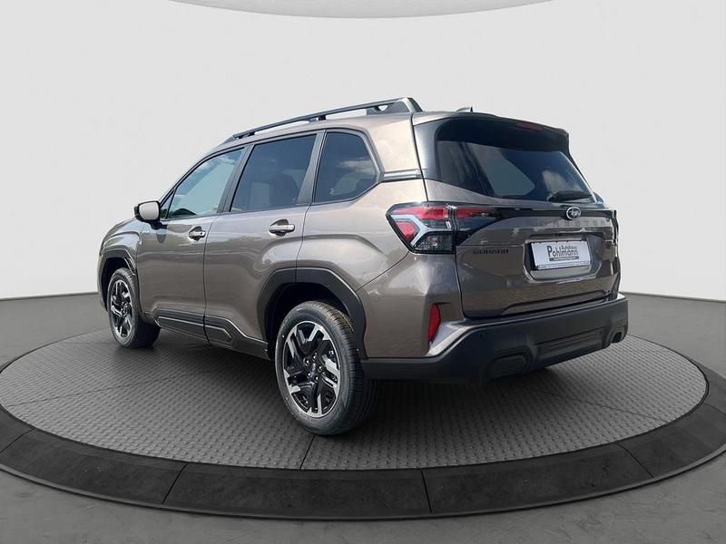 Neu Subaru Forester Active 136 PS (100 kW) 2025 Gold SUV