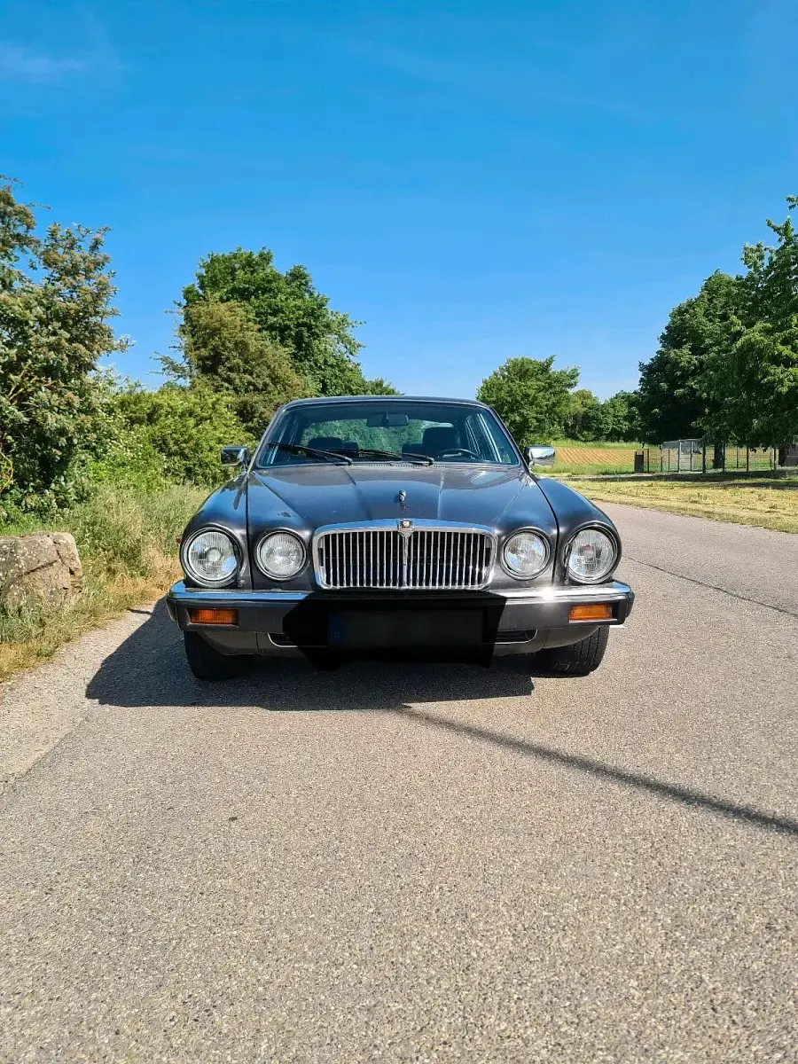 Gebraucht Jaguar XJ12 296 PS (217 kW) 1985 Grau Limousine