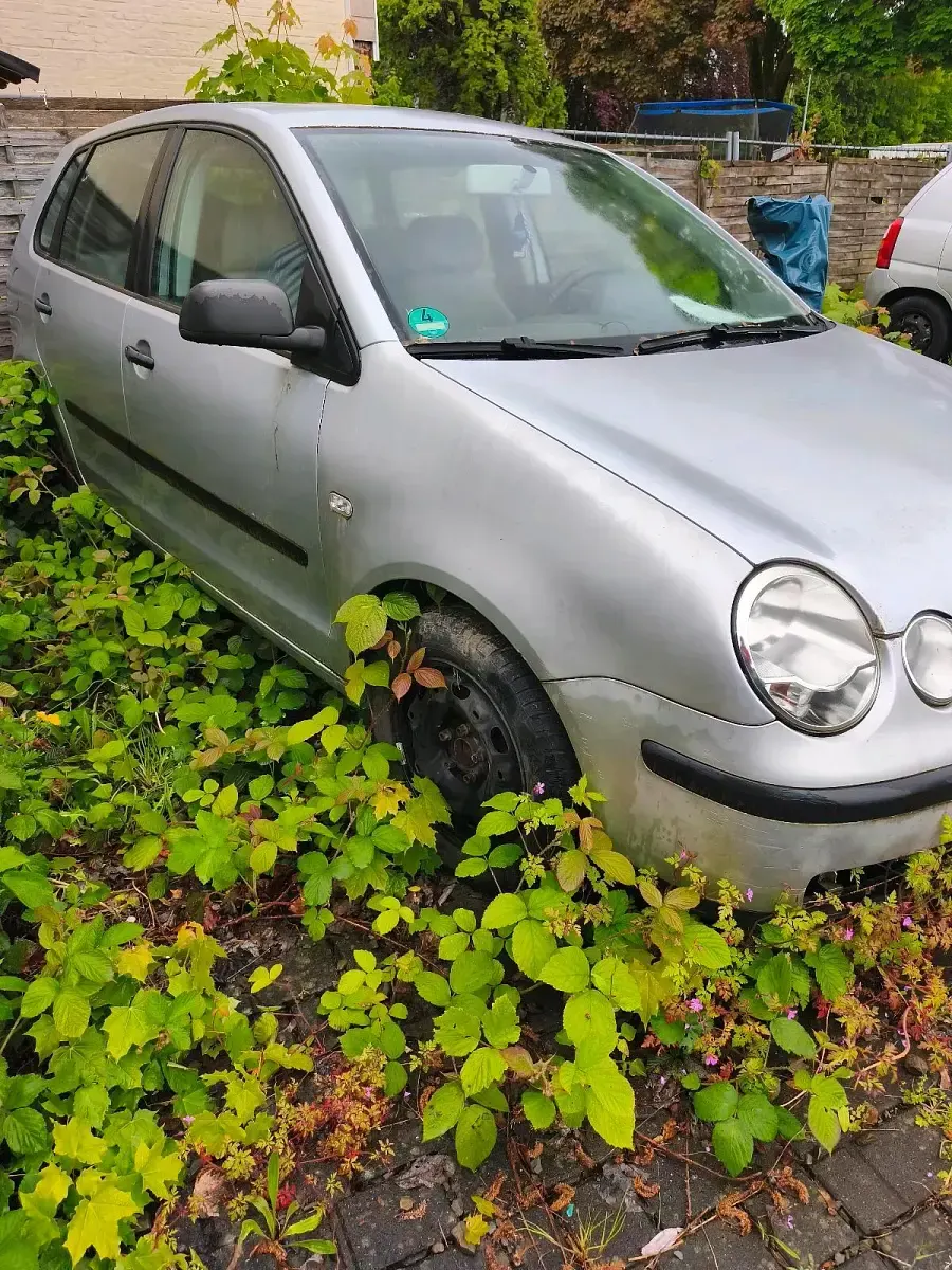 Brugt VW Polo 47 HK (34 kW) 2004 Sølv Hatchback