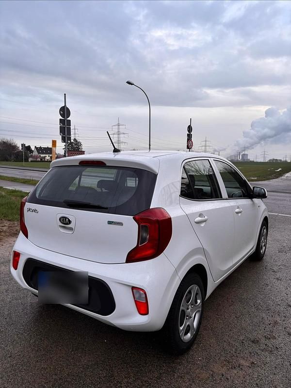 Gebraucht Kia Picanto 68 PS (50 kW) 2017 Weiß Kleinwagen