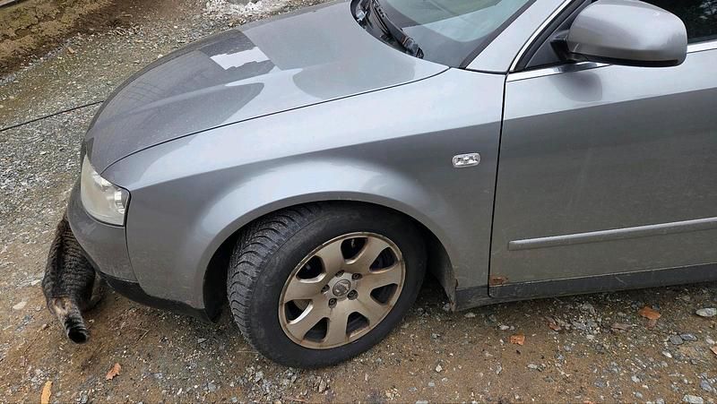 Gebraucht Audi A4 150 PS (110 kW) 2002 Grau Kombi