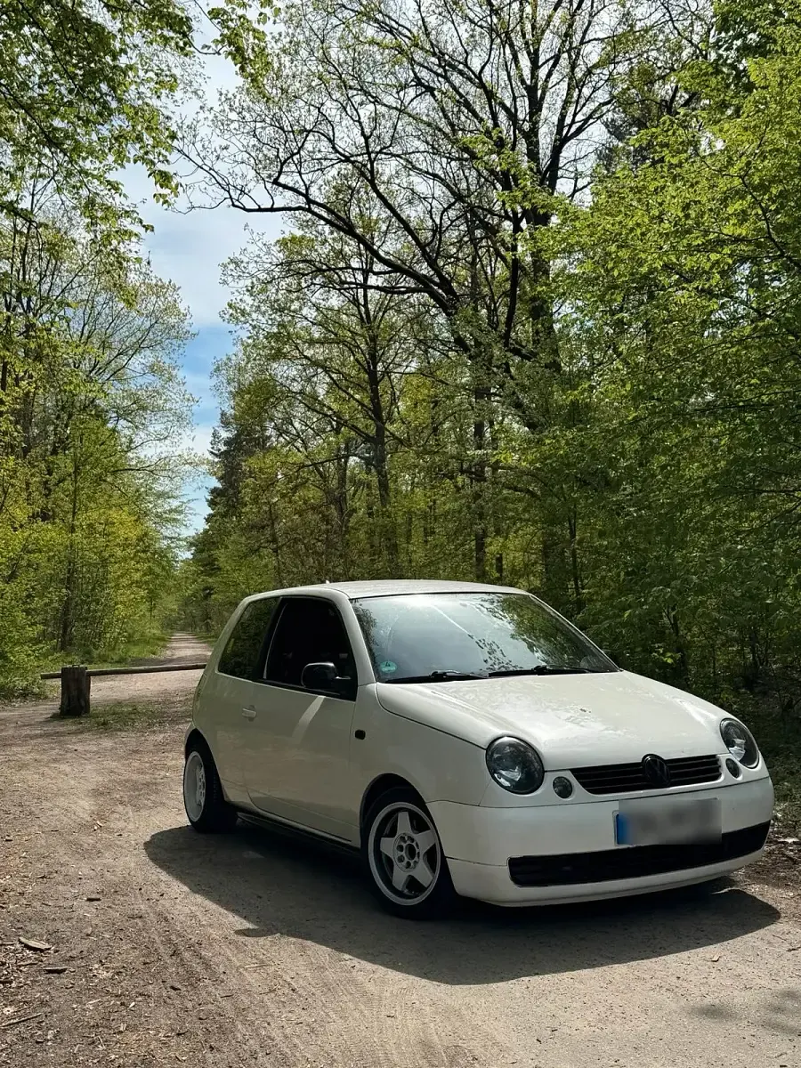 Gebraucht VW Lupo 50 PS (36 kW) 2001 Weiß Kleinwagen