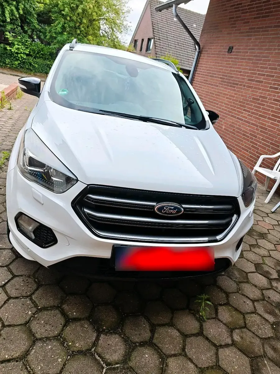 Gebraucht Ford Kuga ST-Line 150 PS (110 kW) 2019 Weiß SUV