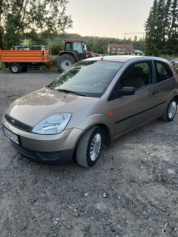 Gebraucht Ford Fiesta Viva 69 PS (50 kW) 2004 Grau Kleinwagen