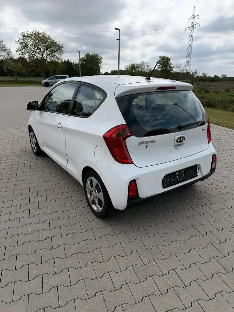 Gebraucht Kia Picanto 69 PS (50 kW) 2015 Weiß Kleinwagen