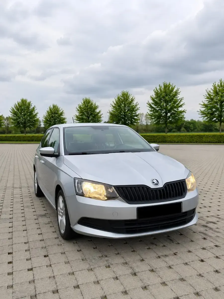 Gebraucht Skoda Fabia 90 PS (66 kW) 2016 Silber Kleinwagen